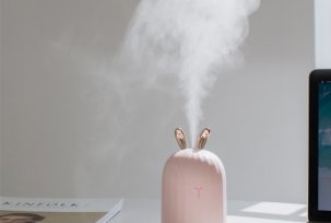 Reasons why steam in the humidifier stops working