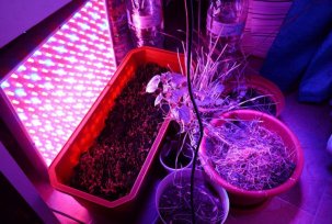 How to make LED phytolamp at home