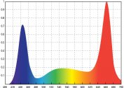 Quel est le coefficient des lampes LED - le spectre de la lumière et son effet sur l'homme