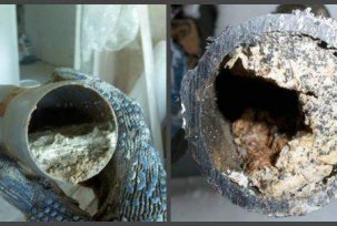 Features of the breakdown of fat in sewer pipes and pits