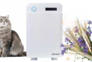 Which air purifiers are best for allergy sufferers or asthmatics