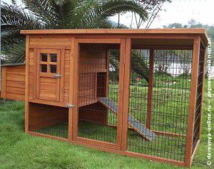 Chicken coop